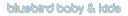 bluebird logo