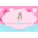Boutique Teacup Puppies logo