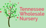 Online Nursery logo