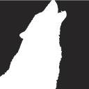 Wild TV Store logo